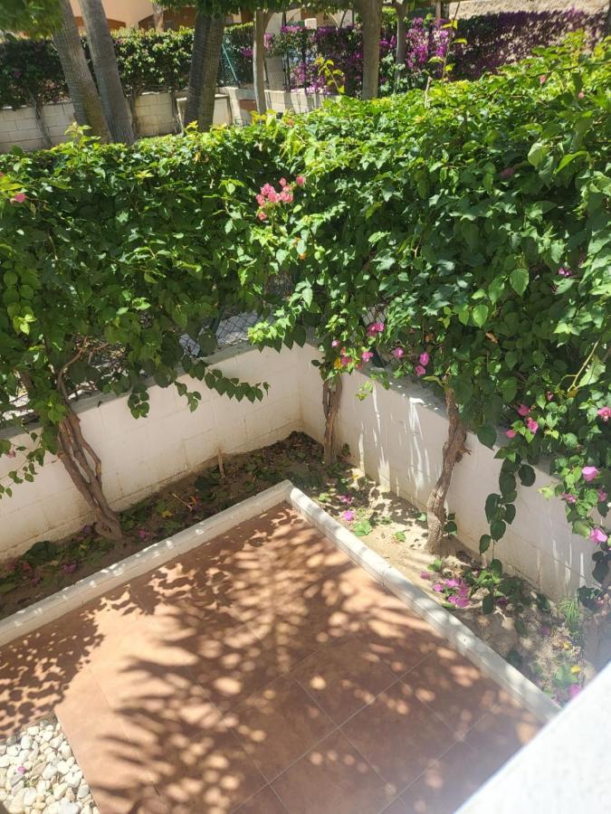¡Bajo Precioso Con Salida Directa A La Piscina Comunitaria En Paraiso De Vera! Екстериор снимка