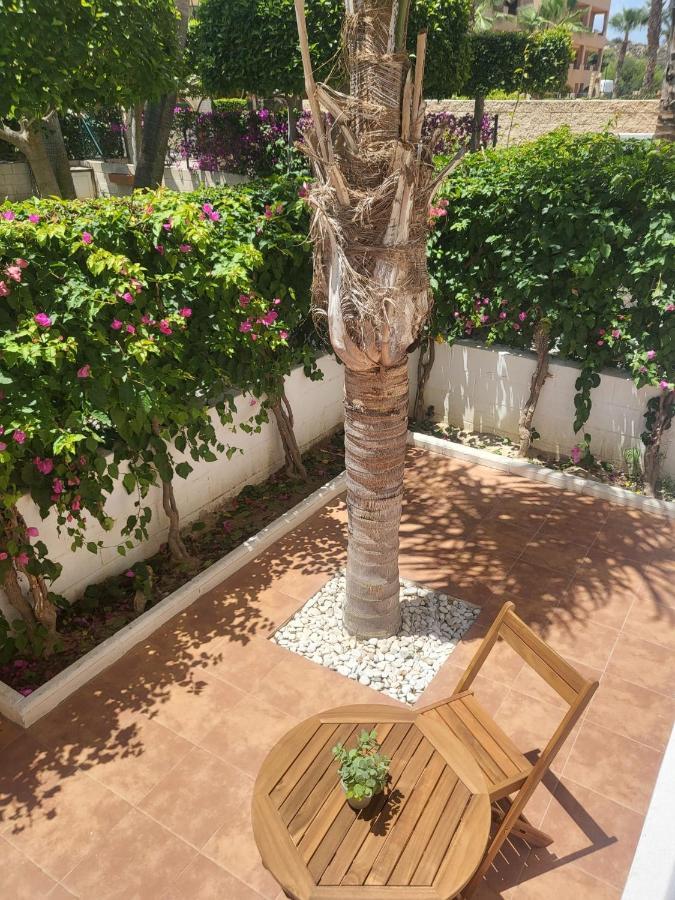 ¡Bajo Precioso Con Salida Directa A La Piscina Comunitaria En Paraiso De Vera! Екстериор снимка