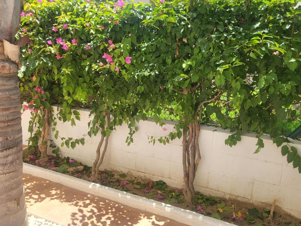 ¡Bajo Precioso Con Salida Directa A La Piscina Comunitaria En Paraiso De Vera! Екстериор снимка